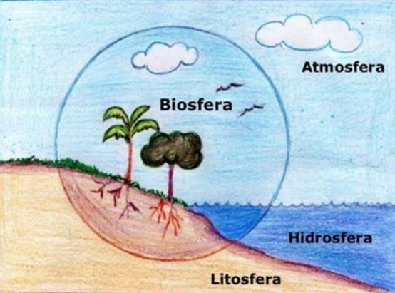 http://ecosistemaglobal.files.wordpress.com/2011/12/hidroslitoatmosfera.png