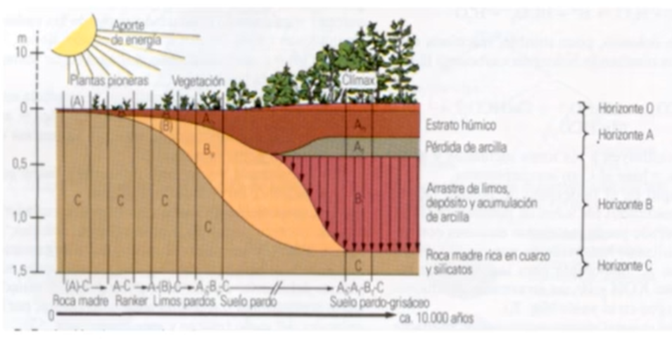 Degradación suelos de España Edafogénesis