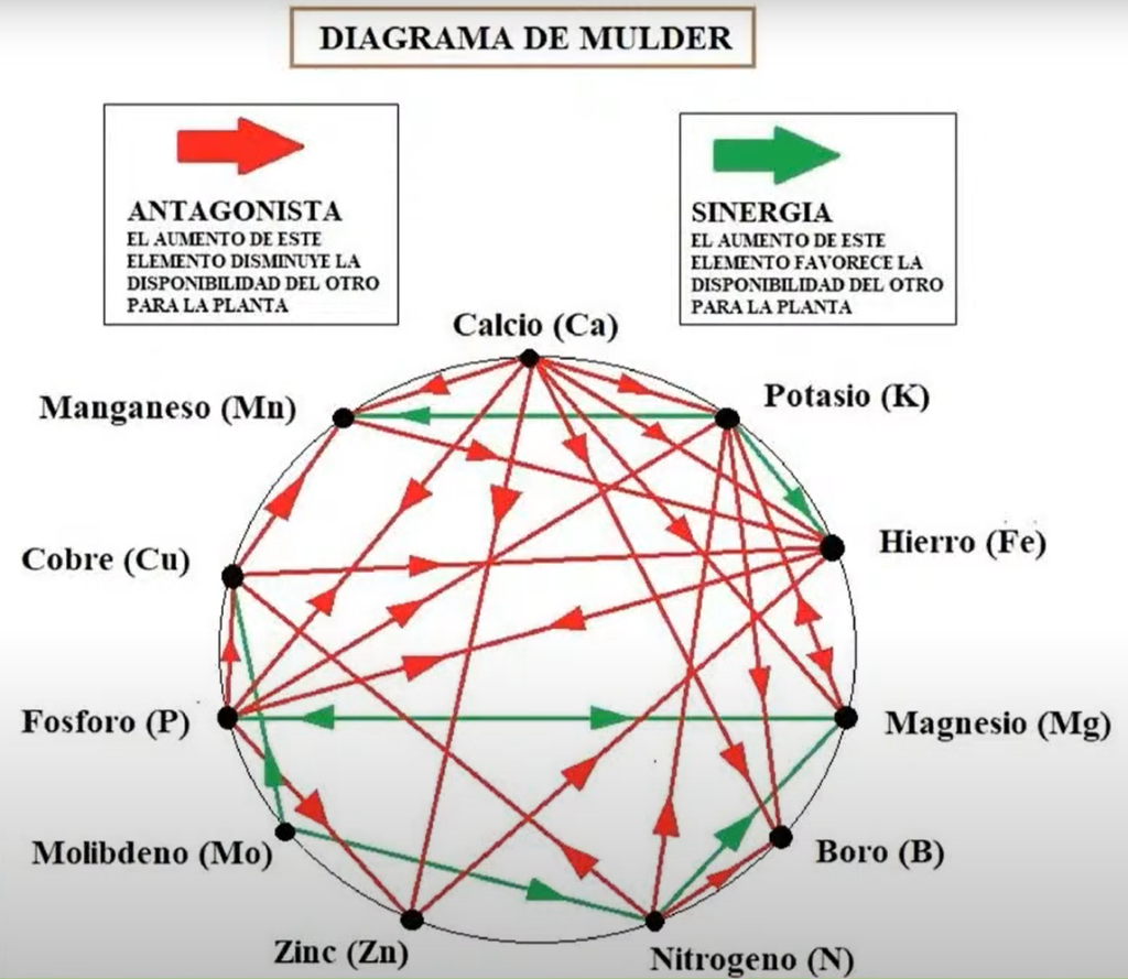 Diagrama de Mulder y la estereoquímica