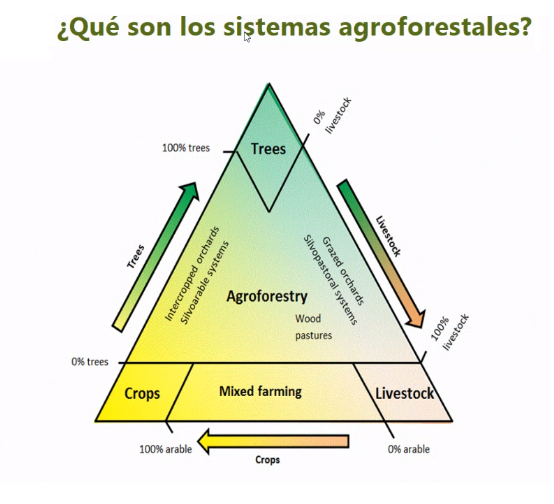 sistemas agroforestales