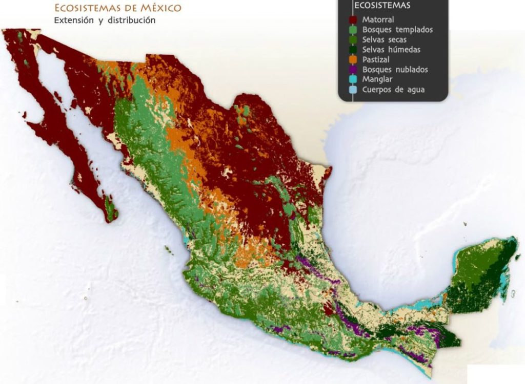 ¿Cuáles son los ecosistemas terrestres de México?